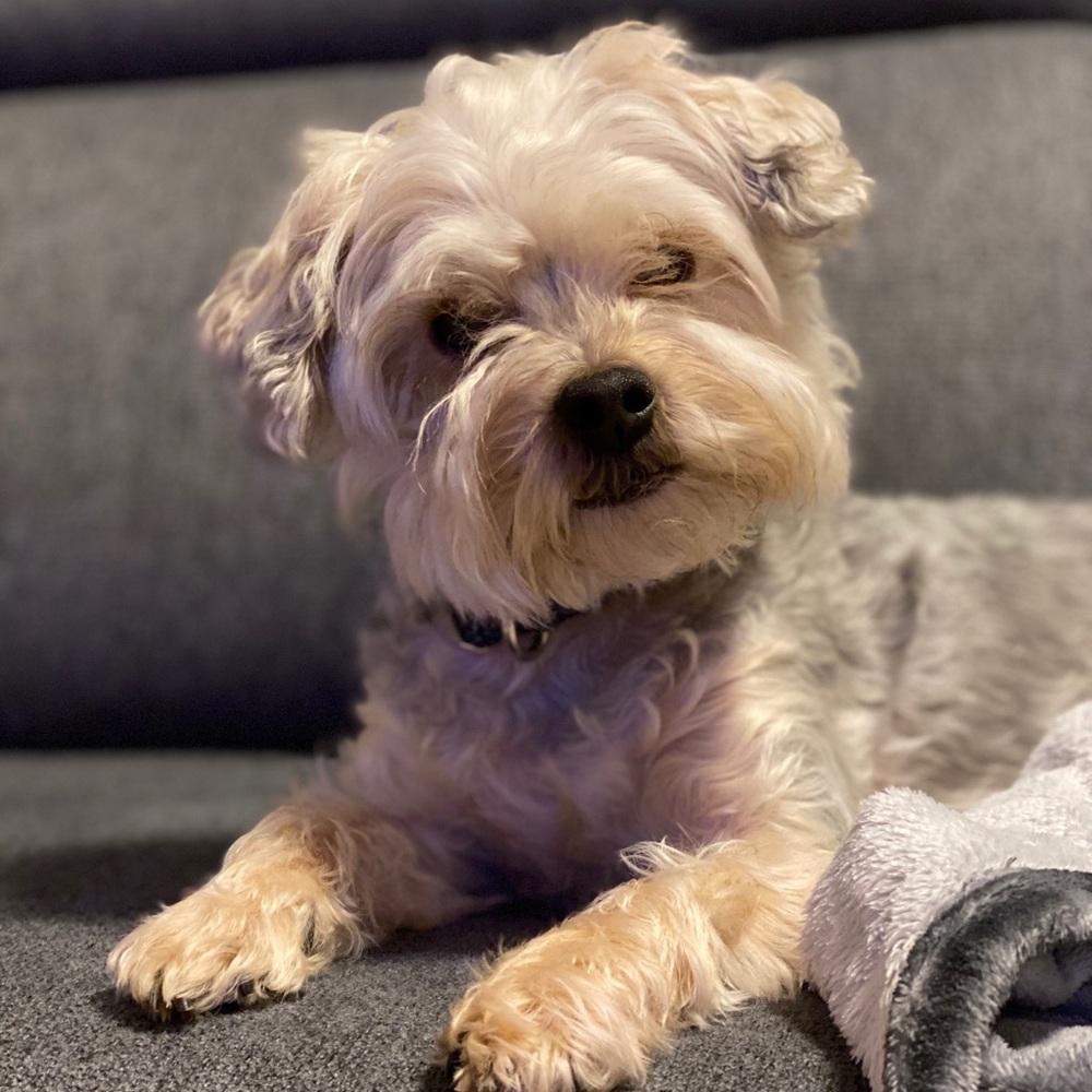 Meet your Posher, Karena